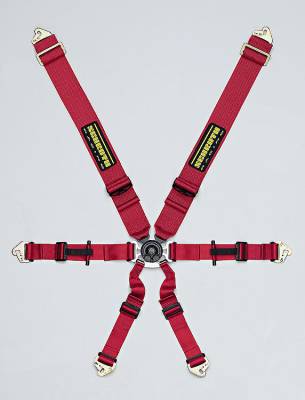 Interior / Safety - Safety Harness - 6 Point 