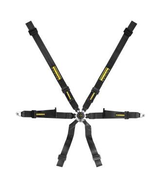 Safety Harness - 6 Point  - Schroth Racing  - Profi XLT 2x2 (Pull Down or Pull Up)