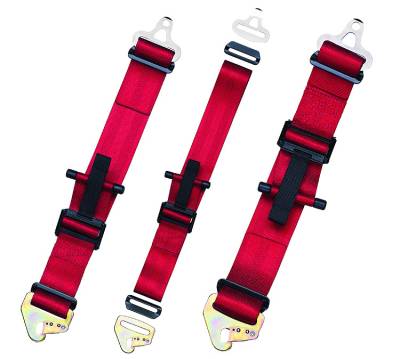 Schroth Racing  - Schroth Profi II ASM (2029)  - Image 4