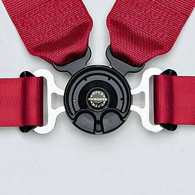 Schroth Racing  - Schroth Profi II ASM (2029)  - Image 2